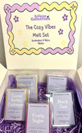 The Cozy Vibes Melt Set